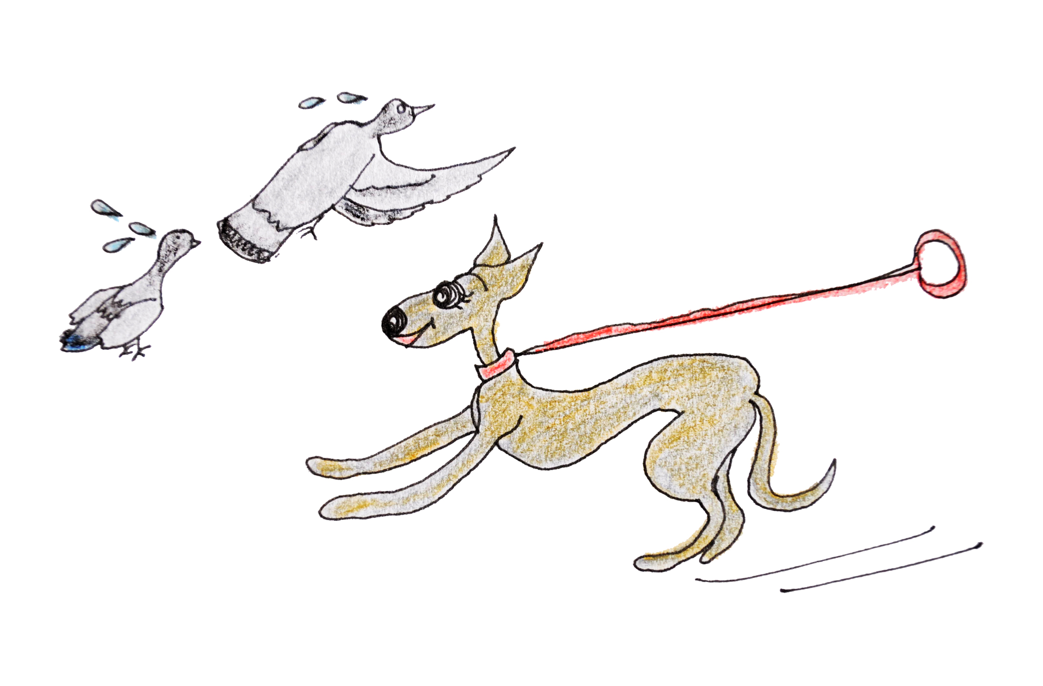 犬の習性を知る 犬と暮らす前に知ってくと困らない11の習性 犬のしつけ 犬の育て方 Vol 4 Arata House