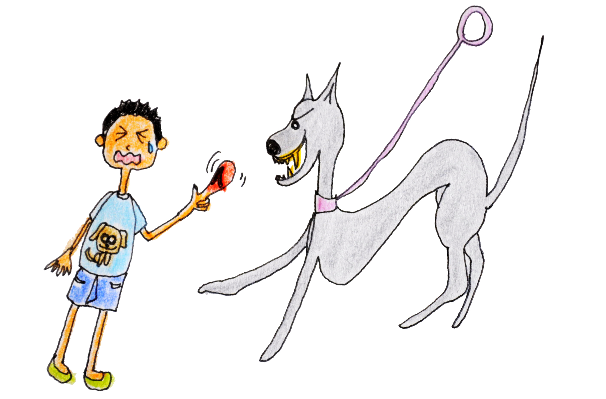 犬の習性を知る 犬と暮らす前に知ってくと困らない11の習性 犬のしつけ 犬の育て方 Vol 4 Arata House