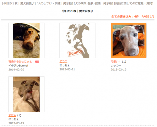 今日の1枚|愛犬自慢♪をミンナでしよう。