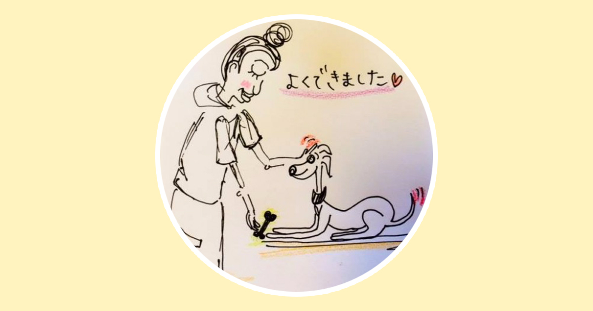 伏せのトレーニング【犬のしつけ・犬の育て方 vol.10】