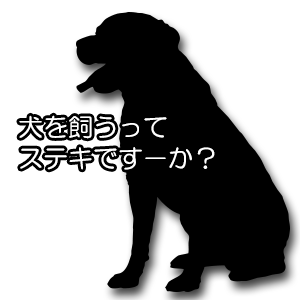 犬を飼う前に読む価値あり 絶妙な 東京都福祉保健局 の 犬を飼うってステキです か の本 Arata House