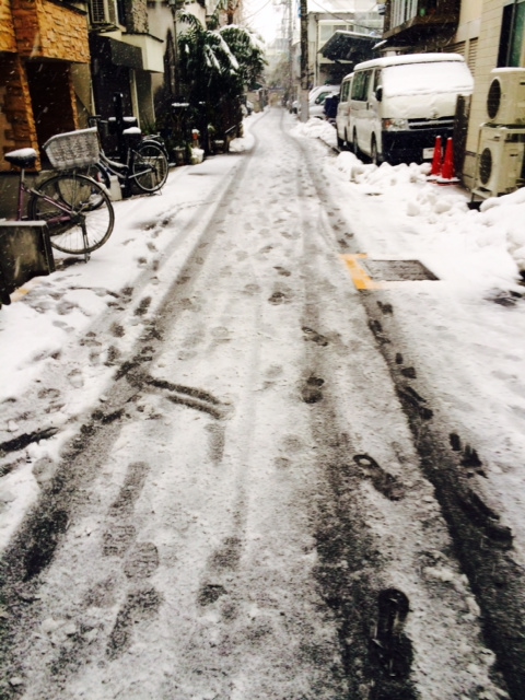 新大阪→東京→新大阪、行ったり来たり。