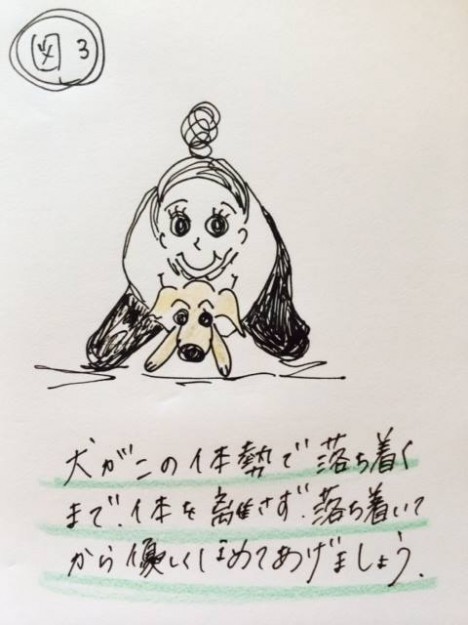 しつけ｜スキンシップの１つホールドスチールのトレーニング【犬の育て方 vol.11】