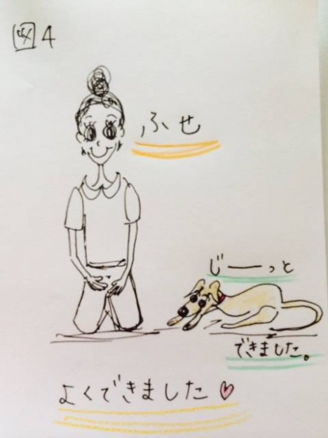 しつけ｜スキンシップの１つホールドスチールのトレーニング【犬の育て方 vol.11】