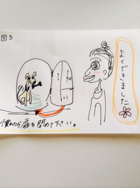 しつけ|ハウス!【犬の育て方 vol.12】