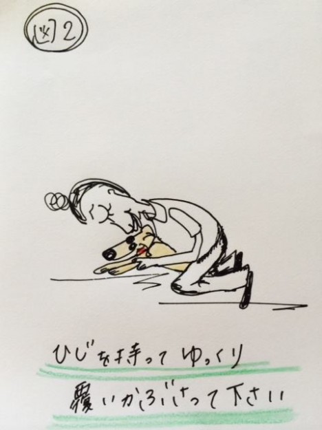 しつけ｜スキンシップの１つホールドスチールのトレーニング【犬の育て方 vol.11】