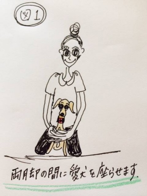 しつけ｜スキンシップの１つホールドスチールのトレーニング【犬の育て方 vol.11】