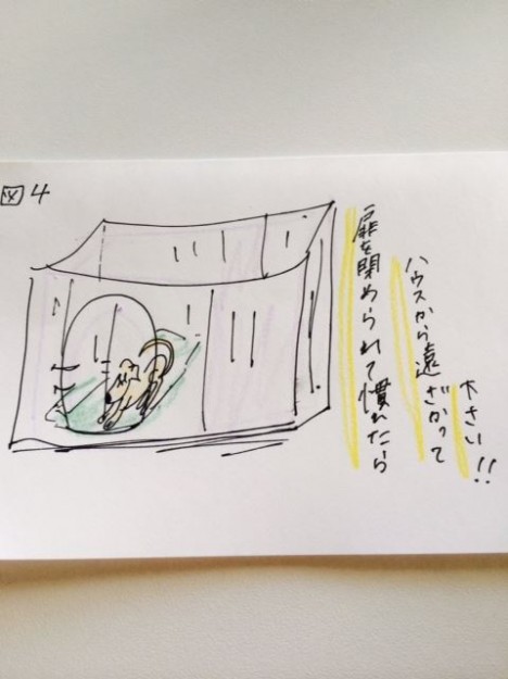 しつけ|ハウス!【犬の育て方 vol.12】