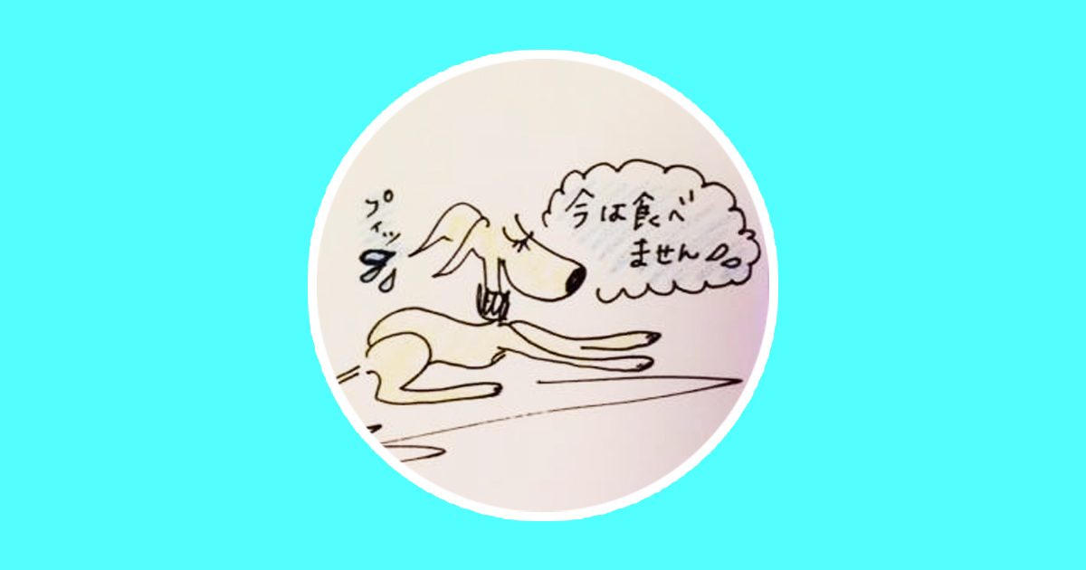 食事のあげ方【犬のしつけ・犬の育て方 vol.13】