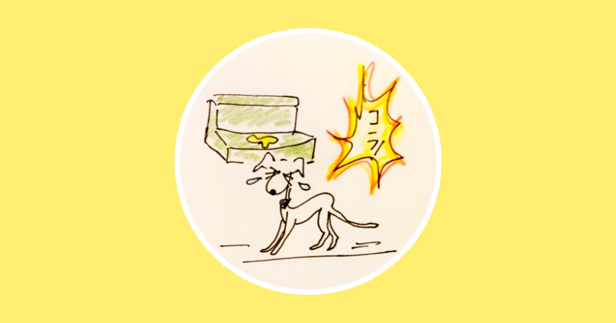 トイレのタイミングとかけ声【犬のしつけ・犬の育て方 vol.14】