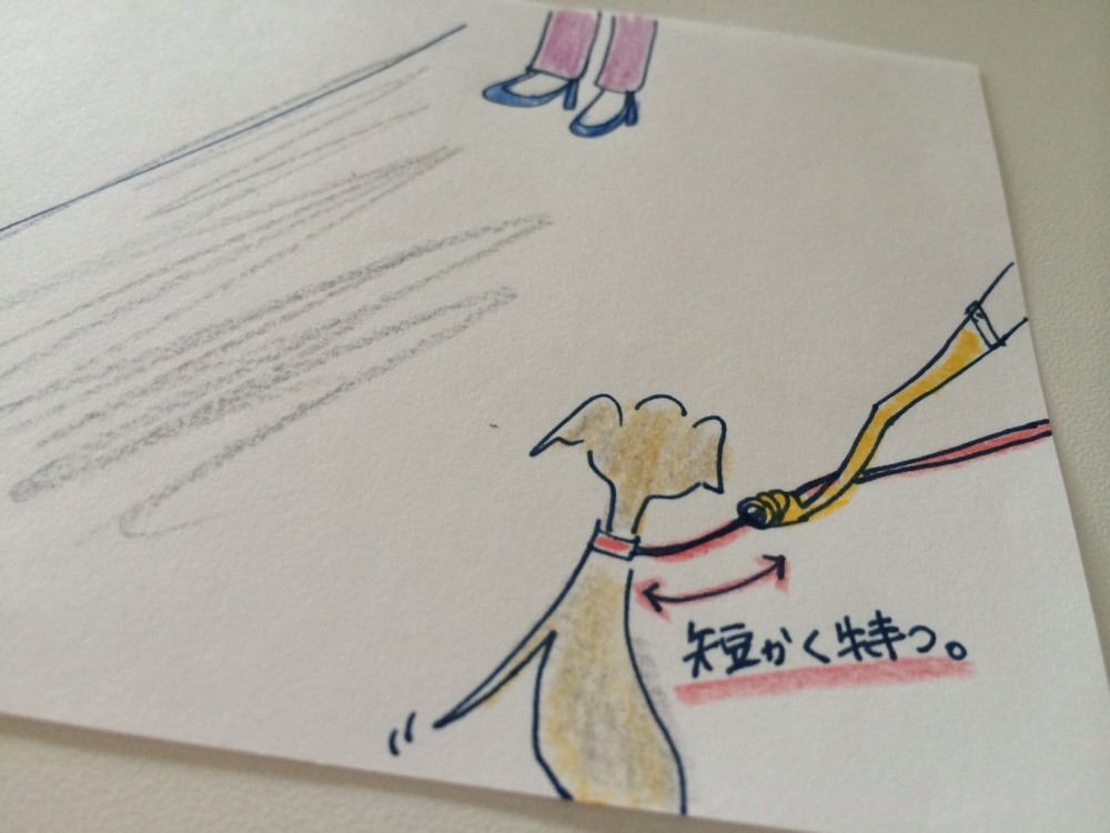 愛犬が散歩やお出かけの時に知らない人に飛びつく場合のしつけ【犬の育て方 vol.34】