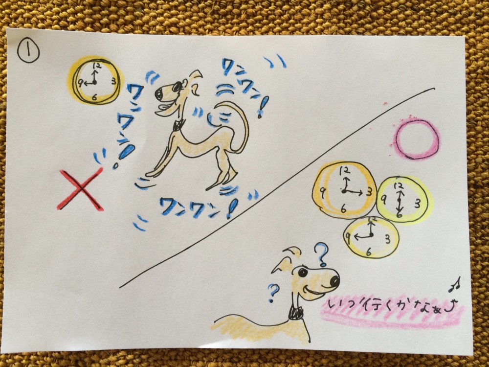 しつけ｜お散歩・お出かけ【犬の育て方 vol.20】