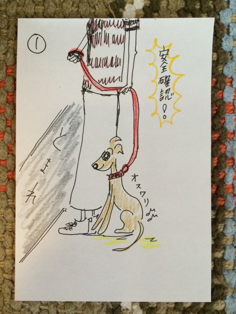 しつけ｜お散歩・お出かけ出発してからの事【犬の育て方 vol.22】