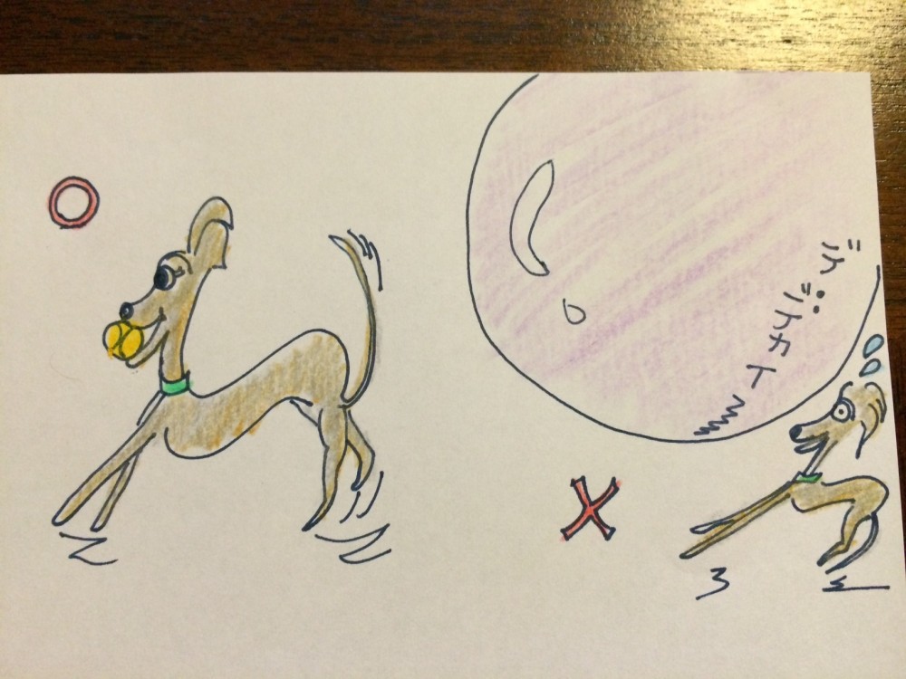 愛犬と一緒に遊んで信頼関係を築こう【犬の育て方 vol.39】