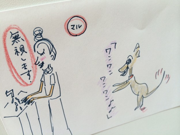 飼い主も愛犬も安心できる留守番の秘訣【犬の育て方 vol.32】