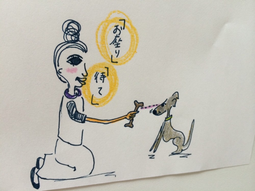 犬とのアイコンタクトはいろんな場面で使えます。可愛い写真も撮れますよ【犬の育て方 vol.38】