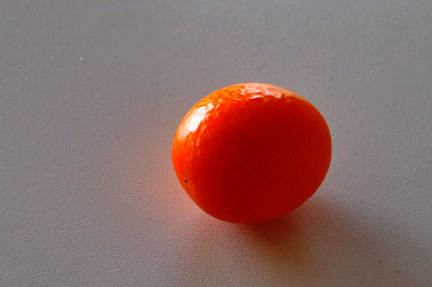 「たまたま」を食べた！