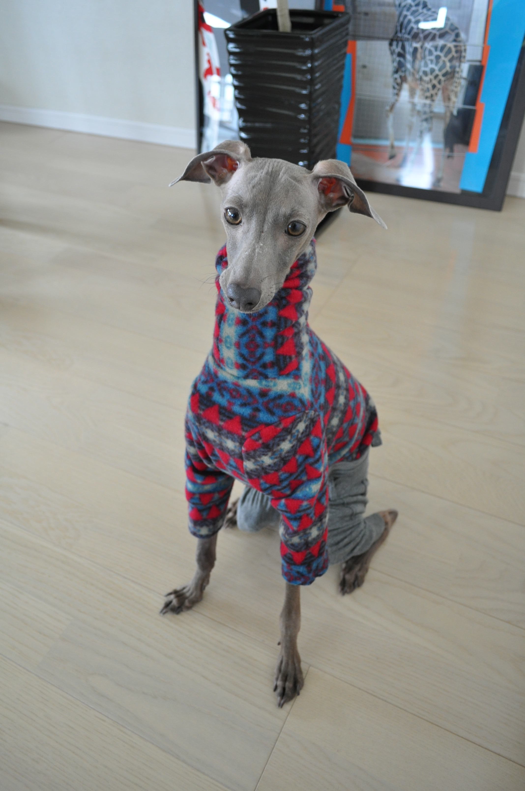 ローンパースを着て出かけるのを楽しみにしてたけど春になっちゃったね！