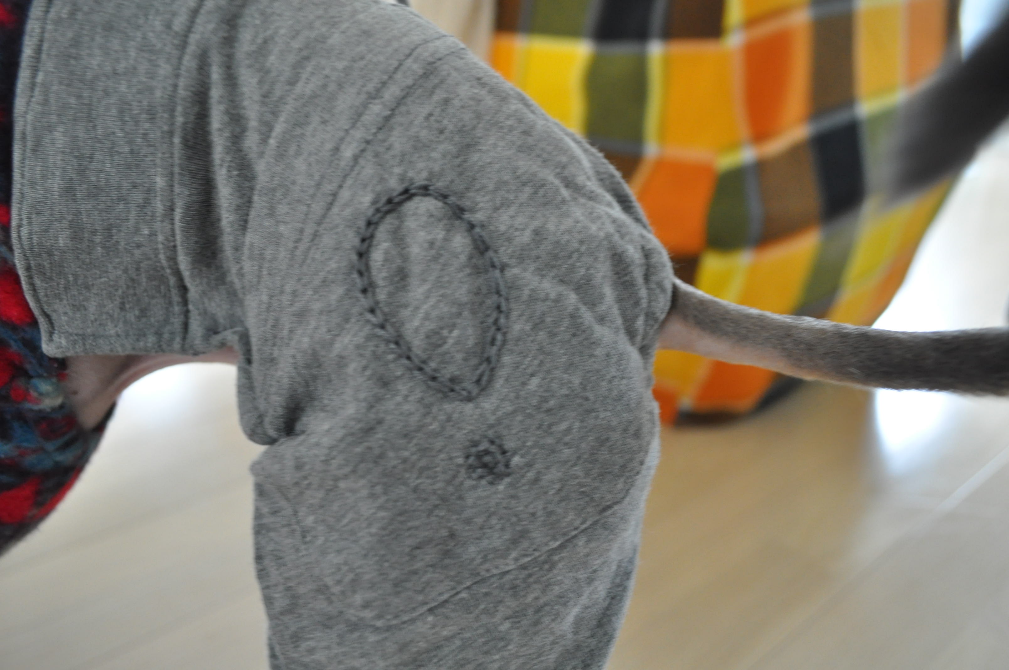 ローンパースを着て出かけるのを楽しみにしてたけど春になっちゃったね！