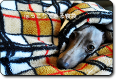 「犬寝袋」いつでもどこでもほっこり寝袋| ARATA HOUSE寝袋
