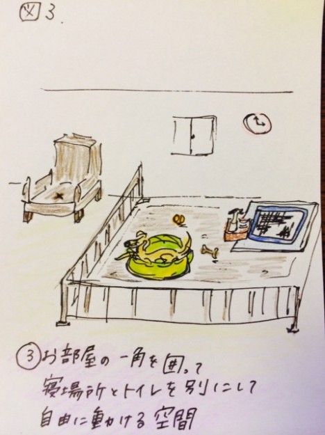 しつけ|トイレ・パターン1【犬の育て方 vol.15】