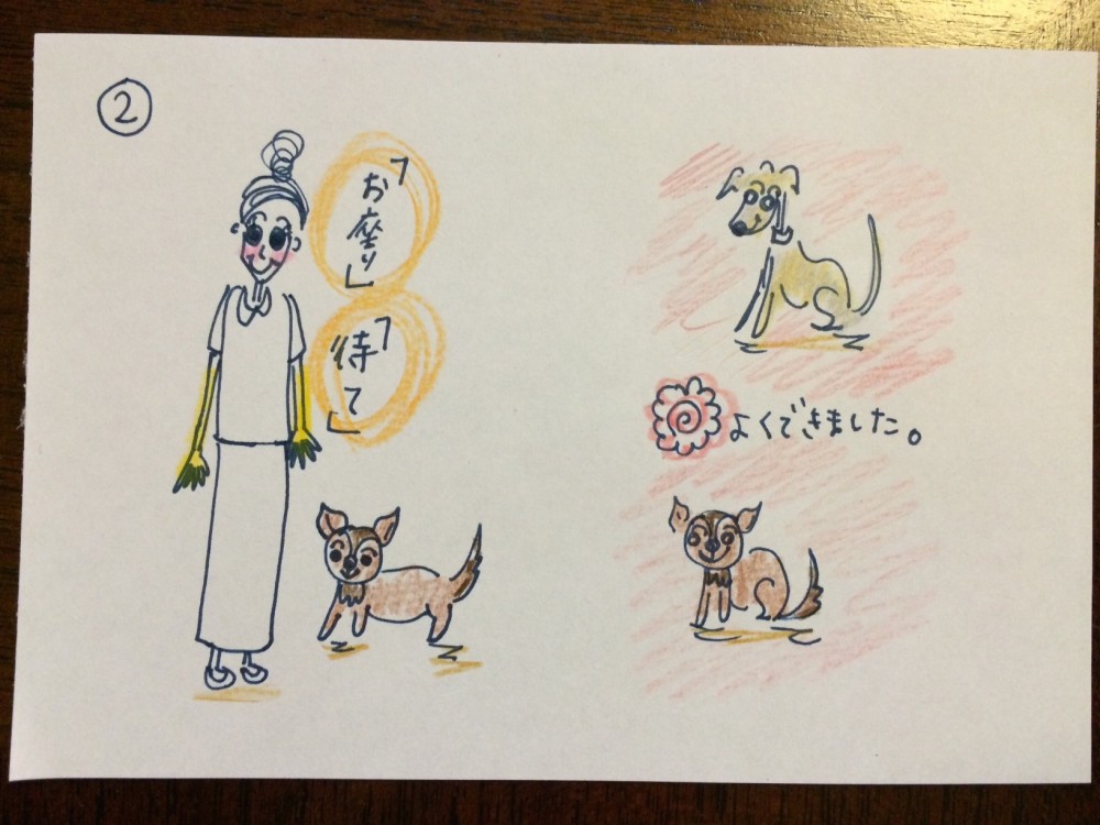 我が家のイタグレBuono!は、普段から、人にピョンピョン飛びつくのが大好き(涙)飛び跳ねを躾よう【犬の育て方 vol.33】