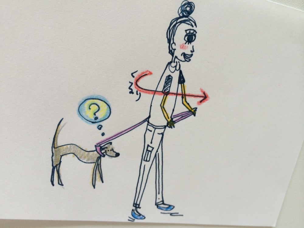 リードをグイグイ引っ張る犬を躾ける方法【犬の育て方 vol.37】
