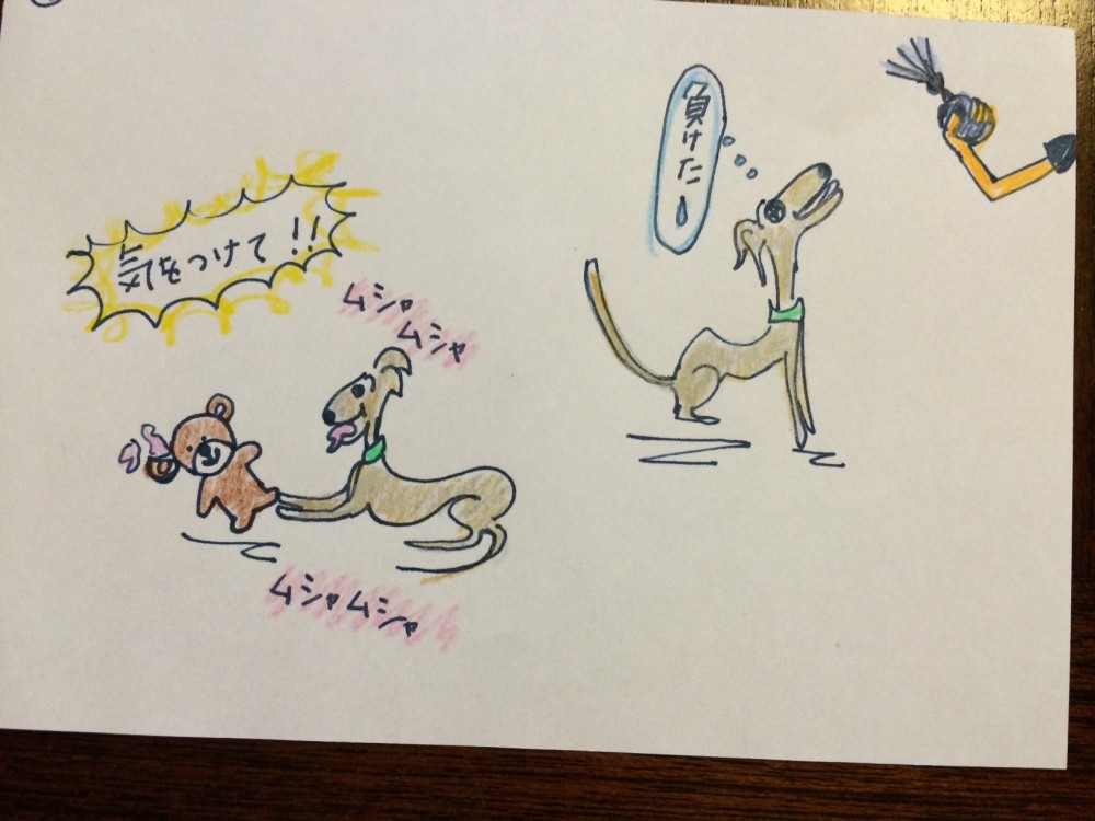 愛犬と一緒に遊んで信頼関係を築こう【犬の育て方 vol.39】