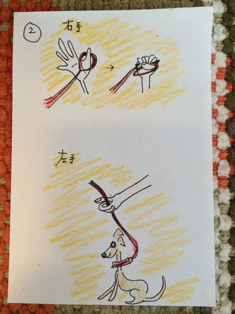 しつけ｜お散歩・お出かけ出発してからの事【犬の育て方 vol.22】