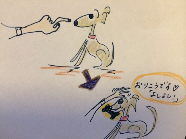 しつけ|咬む·かじる【犬の育て方29巻】