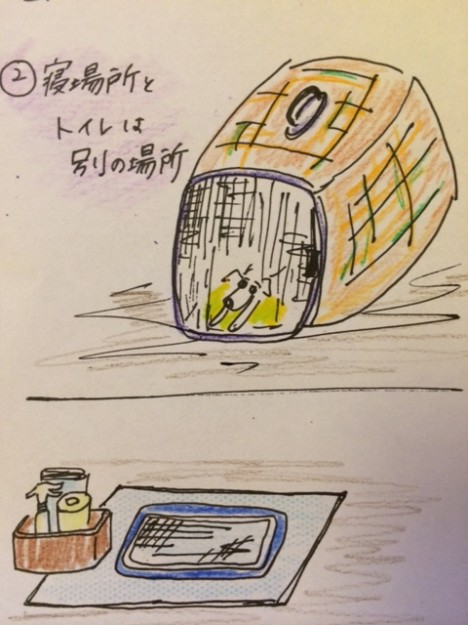 しつけ|トイレ・パターン1【犬の育て方 vol.15】