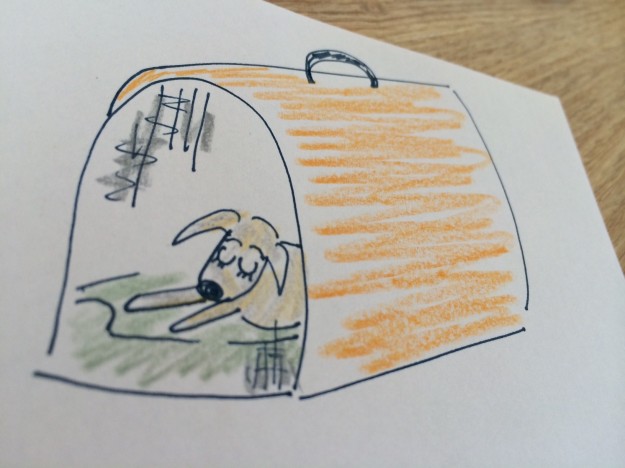 愛犬の分離不安は愛情が原因?・・・それは感情をたくさん表現しているのかもしれないよ!【犬の育て方 vol.31】