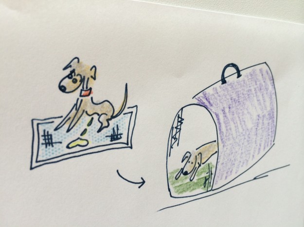 飼い主も愛犬も安心できる留守番の秘訣【犬の育て方 vol.32】