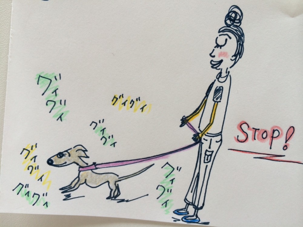 リードをグイグイ引っ張る犬を躾ける方法【犬の育て方 vol.37】