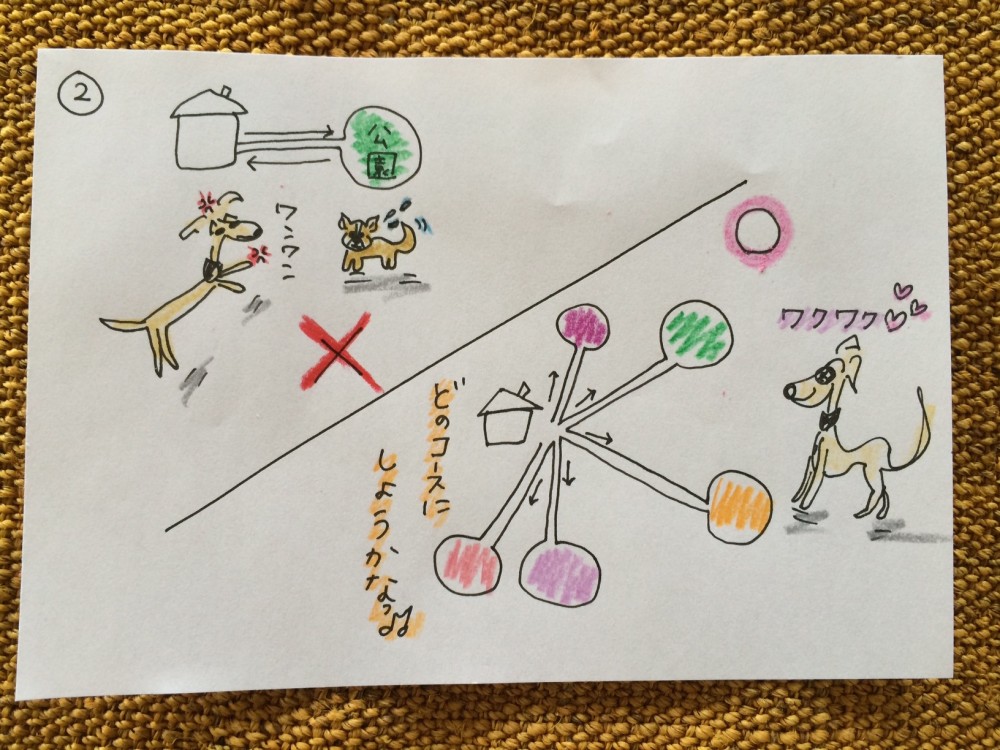 しつけ｜お散歩・お出かけ【犬の育て方 vol.20】