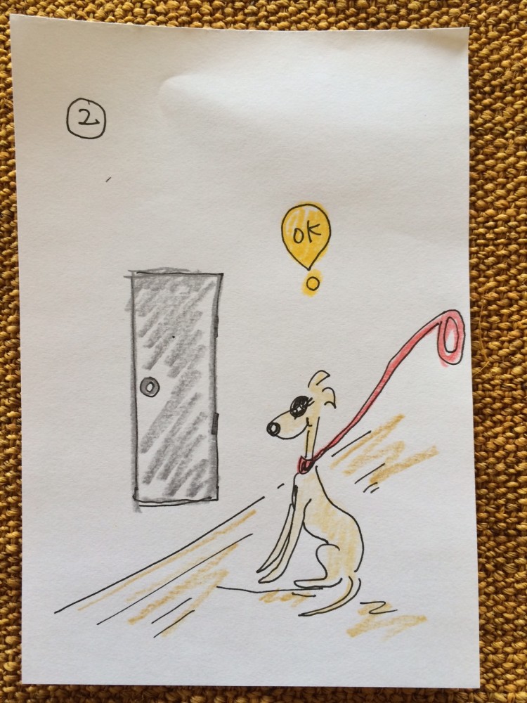 しつけ｜お散歩・お出かけ前の準備【犬の育て方 vol.21】