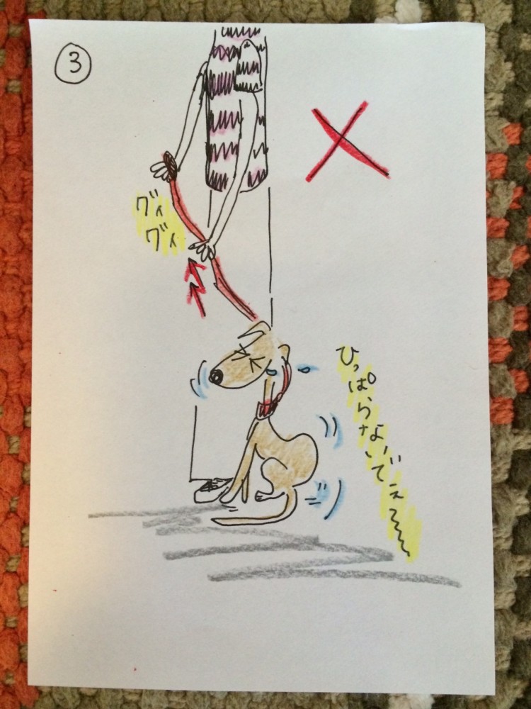 しつけ｜お散歩・お出かけ出発してからの事【犬の育て方 vol.22】