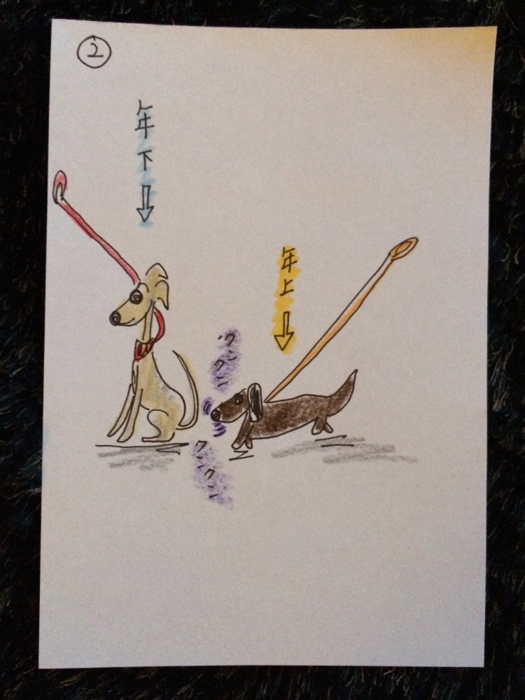 しつけ|犬同士のあいさつ【犬の育て方 vol.23】