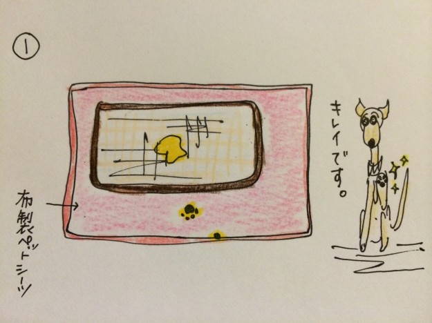 しつけ｜トイレ躾にお勧めのアイテム【犬の育て方 vol.18】