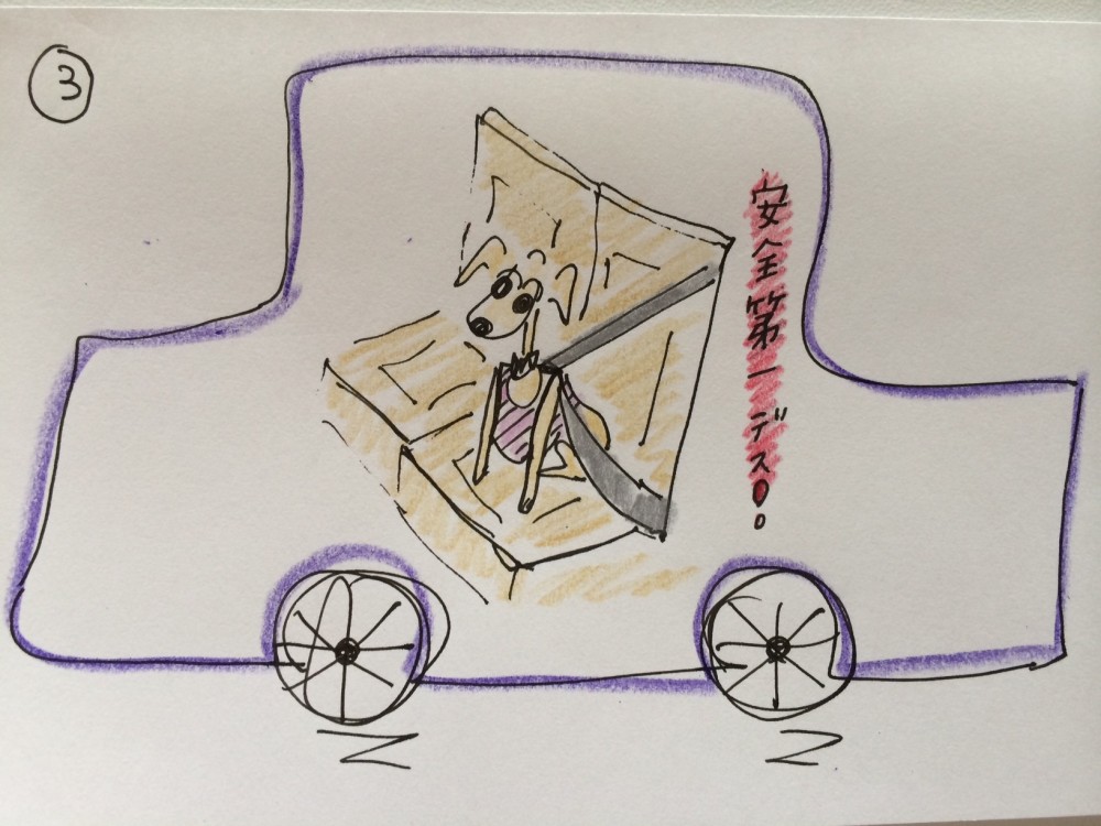 しつけ 犬を車に乗せる時の５つのポイント 犬の育て方 Vol 19 Arata House