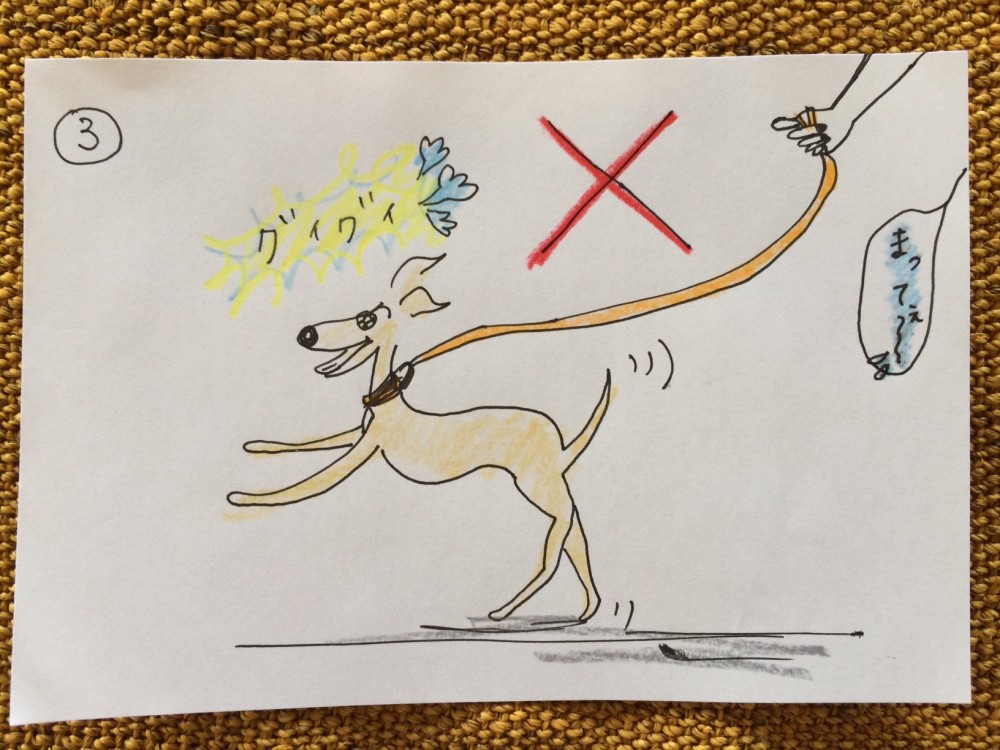 しつけ｜お散歩・お出かけ【犬の育て方 vol.20】