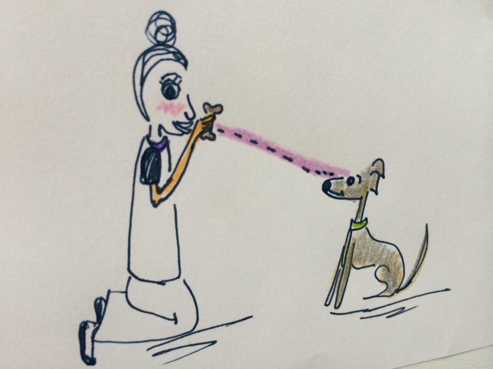 犬とのアイコンタクトはいろんな場面で使えます。可愛い写真も撮れますよ【犬の育て方 vol.38】