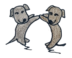 犬の成長その3|3週~13週は社会化期【犬の育て方 vol.42】