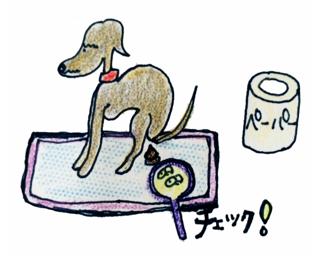 犬の排泄について｜ウンチ【犬の育て方 vol.61】