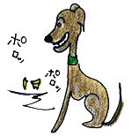 犬の成長その4｜約6か月～1年の若齢期【犬の育て方 vol.43】