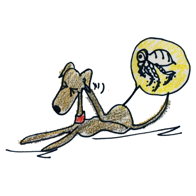 季節ごとの健康管理｜春は狂犬病予防接種｜ノミダニ予防｜フィラリア予防｜換毛期【犬の育て方46巻】