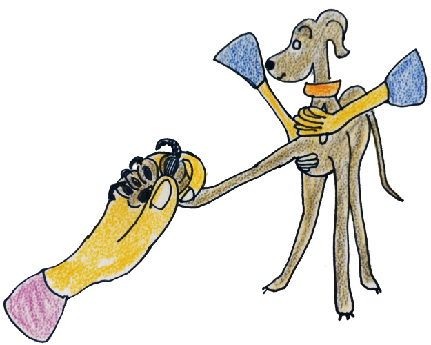 犬のグルーミング｜各パーツのお手入れ・爪【犬の育て方 vol.56】