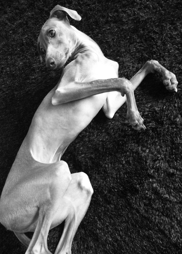 毎日少しずつ練習しとります「バーン!」