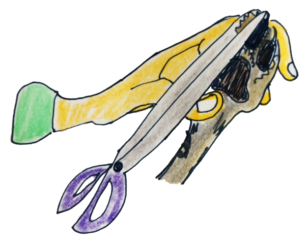 犬のグルーミング|各パーツのお手入れ・肉球【犬の育て方 vol.59】