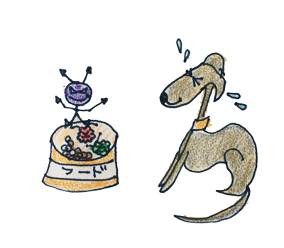 季節ごとの健康管理|夏は日射病や熱射病、食中毒に注意しましょう【犬の育て方 vol.47】